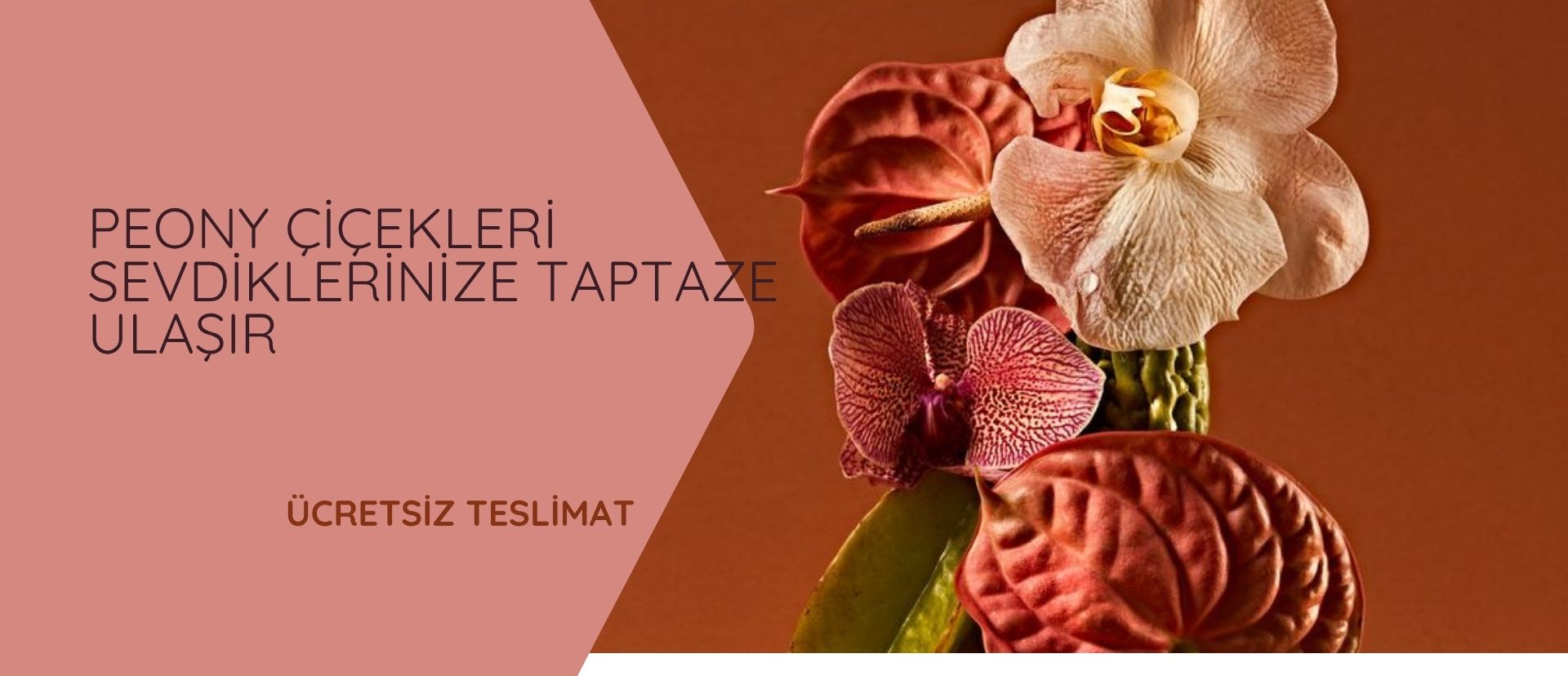 aynı gün 