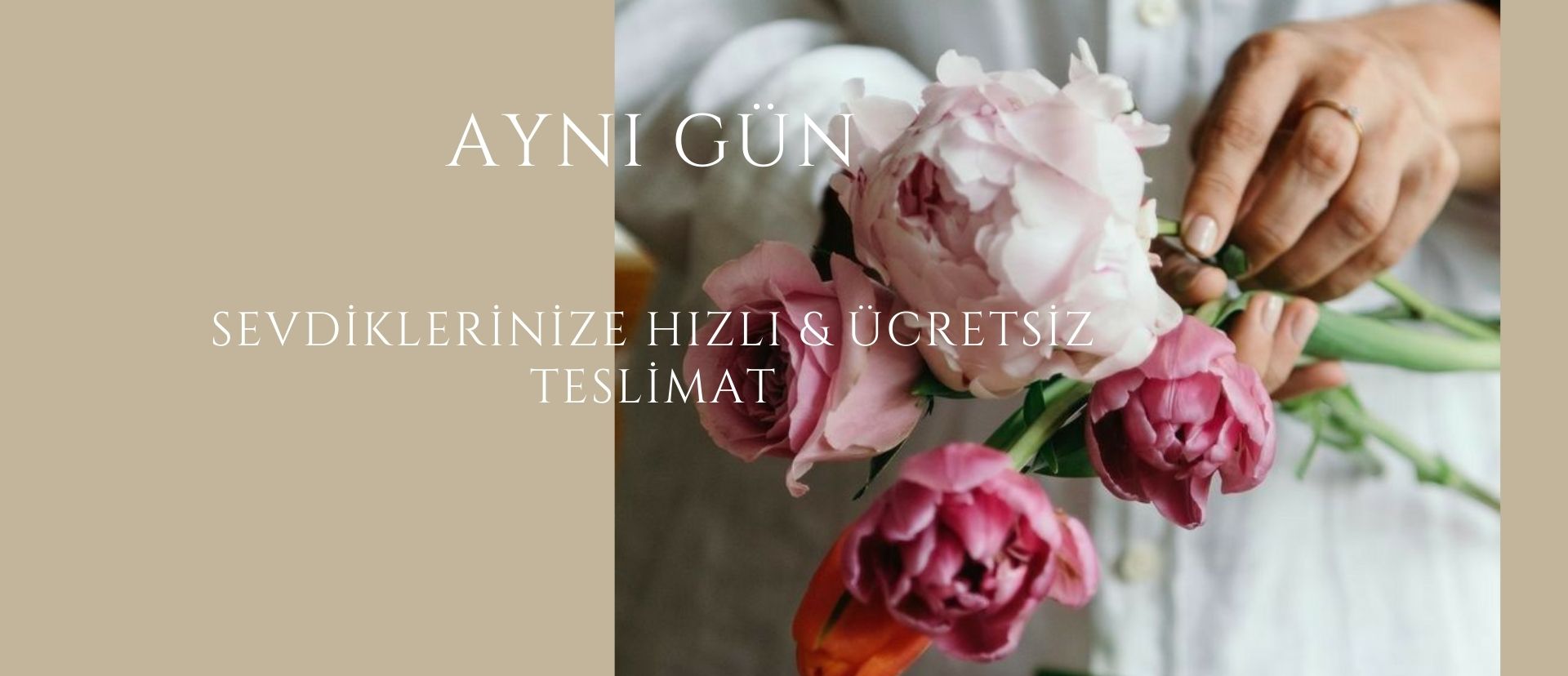 aynı gün 